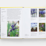 A Year in Bloom