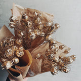 Złoty pęk czarnuszki