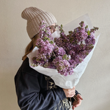 Bezowa chmurka / Lilac